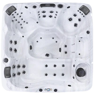 Avalon EC-867L hot tubs for sale in Lenexa